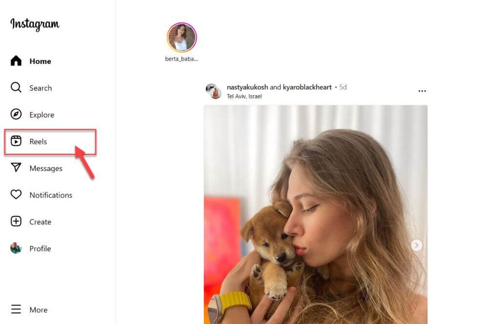 חיפוש הורדת סרטונים מאינסטגרם חיפוש הורדת סרטונים מאינסטגרם